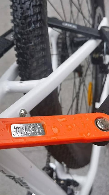 Ebike Lock